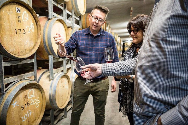Degustazione di Pinot Noir in una cantina della Yarra Valley con incontri con i koala in Australia