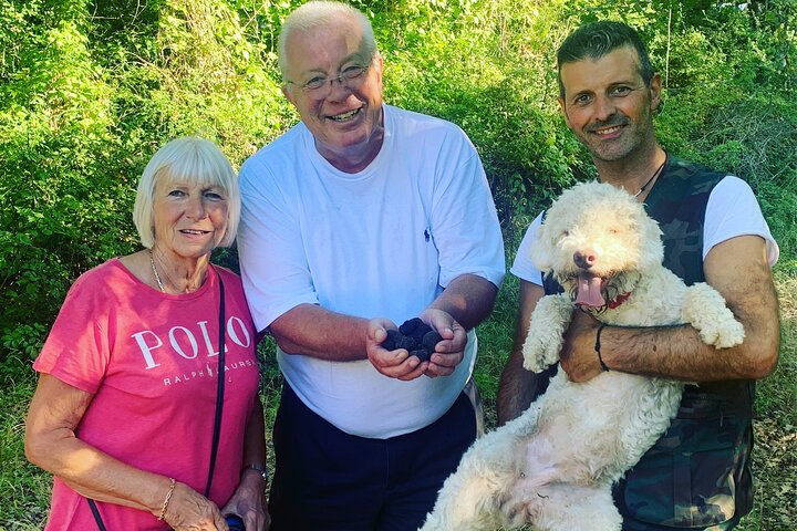 Chasse aux truffes avec chiens Lagotto Romagnolo dans les collines siennoises Siena Tartufi