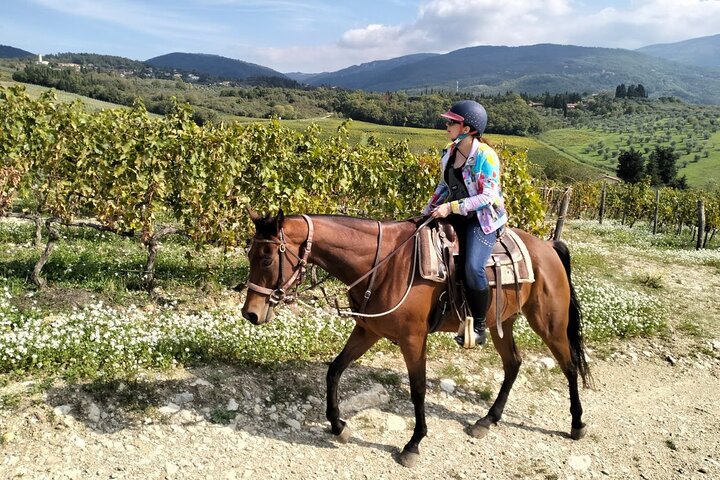 Balade à cheval dans le Chianti toscane avec dégustation de vin et déjeuner en domaine viticole