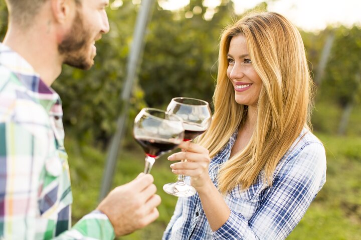 Dégustation de vins crétois et d'huile d'olive lors d'un tour gastronomique en Crète