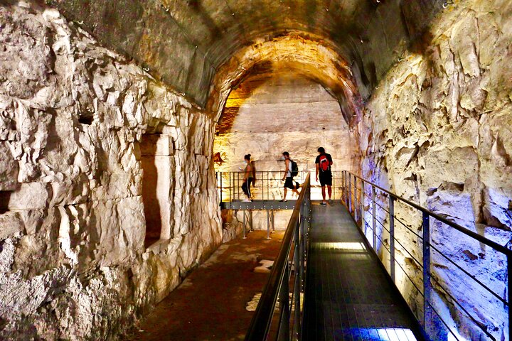 Visite expert Colisée Rome arène ou souterrains au choix Forum 55341P7