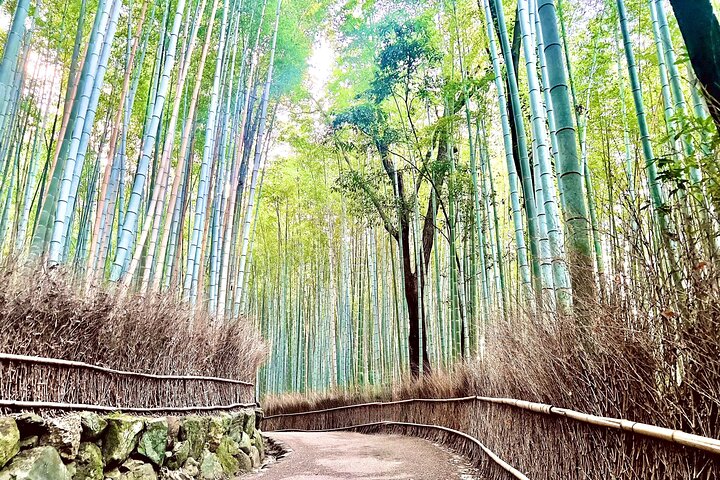 Bambushain und Tenryu-ji-Garten in Arashiyama im Herbst – Koyo Kyoto 5585599P4