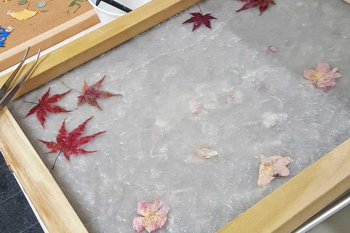 Washi-Papier-Herstellungs-Workshop in Kyoto – 65401P3