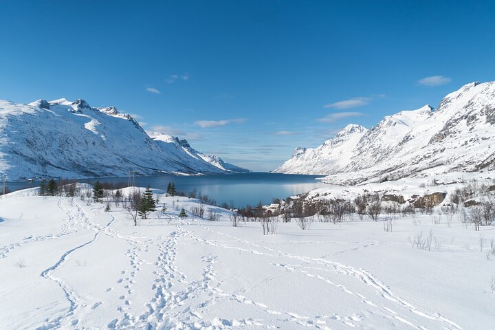 Fjord arctique enneigé vu depuis un minibus, Norvège du Nord en hiver