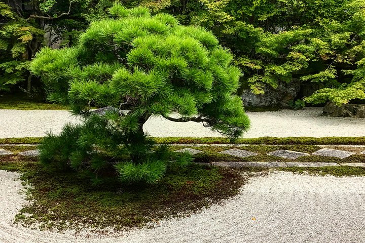Privater Zen-Garten in Kyoto – Führung beim Koyo 72156P1