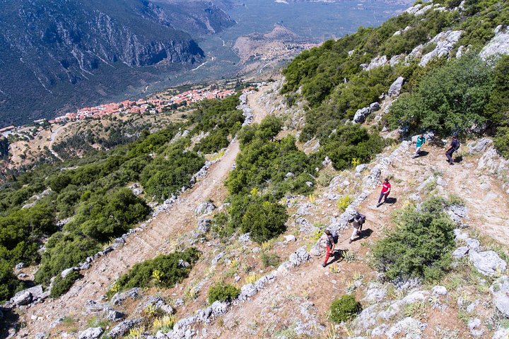 Randonnée sentier antique Delphes — chemin européen E4 oliveraies golfe de Corinthe — 9238P20