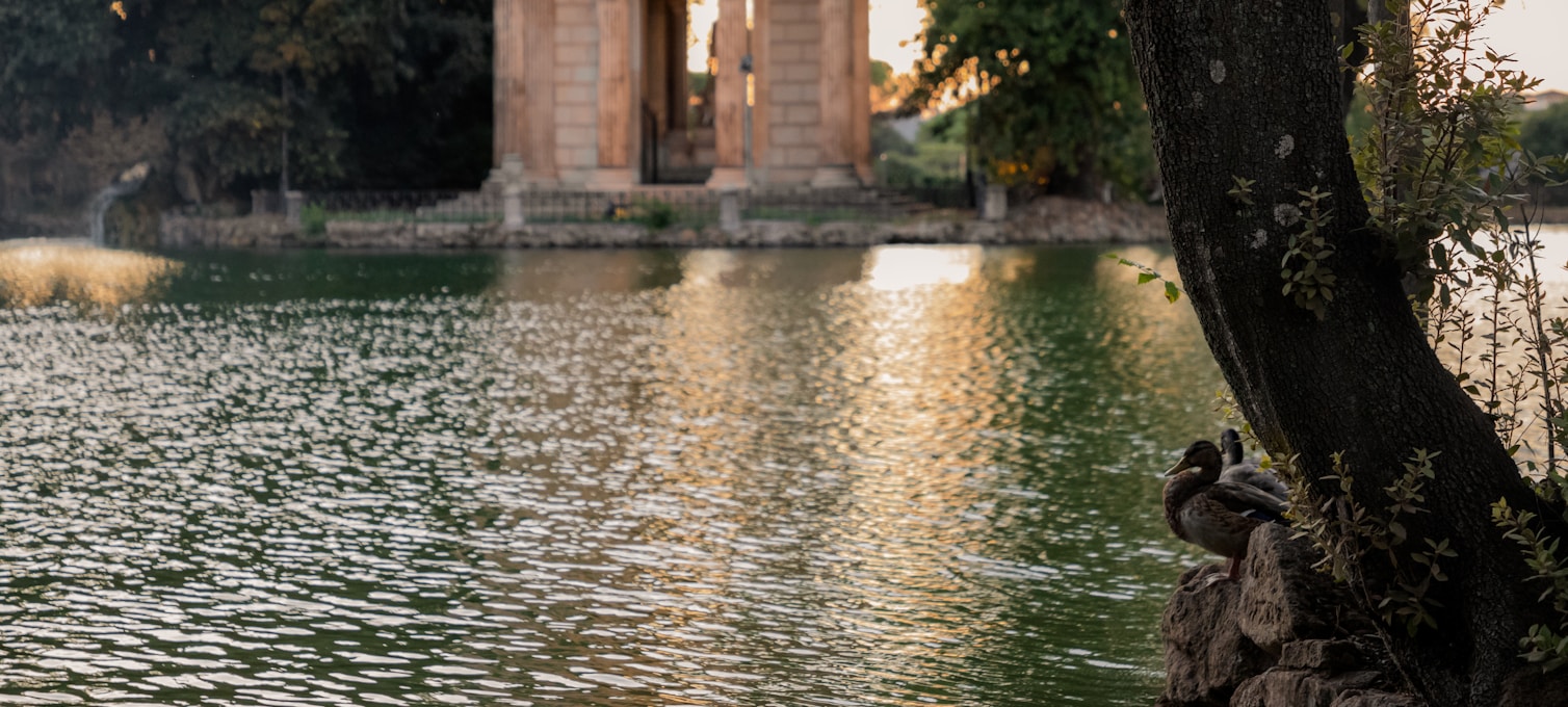 Terrasse du Pincio avec vue panoramique sur les toits de Rome depuis les jardins de la Villa Borghèse