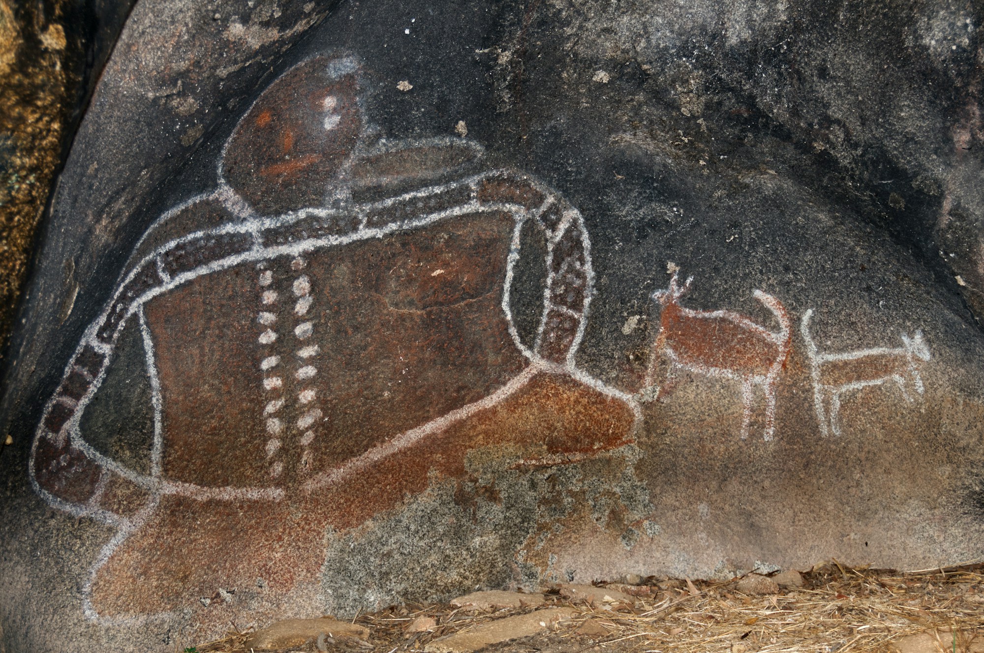 Aborigine-Kunstler bei der Arbeit an einem traditionellen Kunstwerk