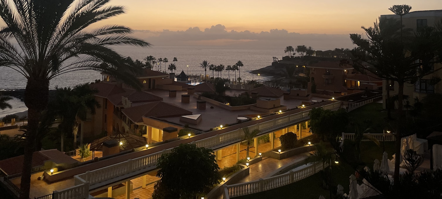 Littoral de Costa Adeje à Tenerife, palmiers et océan sous le soleil de février