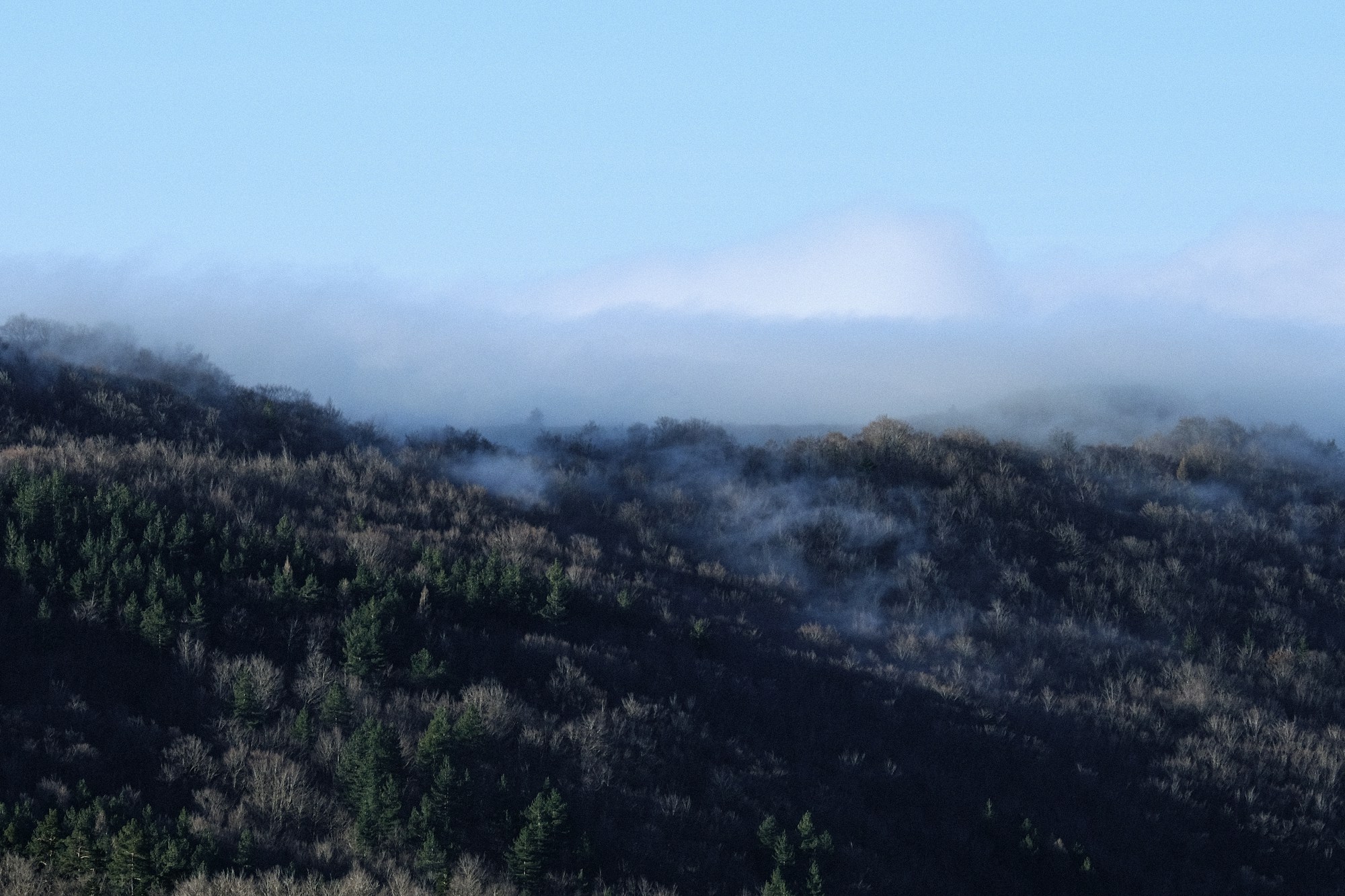 Fumo che si alza da un versante boschivo, illustrazione del rischio di incendio boschivo in estate