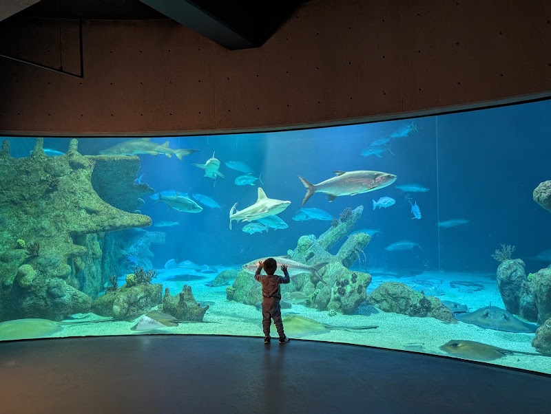 Aquarium du BioPark – 2601 Central Ave NW, Albuquerque, NM 87104, États-Unis (photo 2)