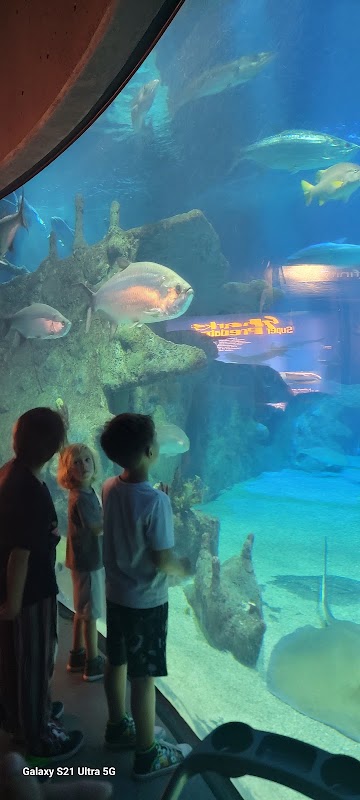 Aquarium du BioPark – 2601 Central Ave NW, Albuquerque, NM 87104, États-Unis (photo 3)