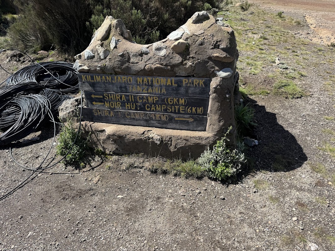 Ascension Machame J2 : vers Shira 2 Camp – Shira 2 Camp, parc national du Kilimandjaro (photo 1)