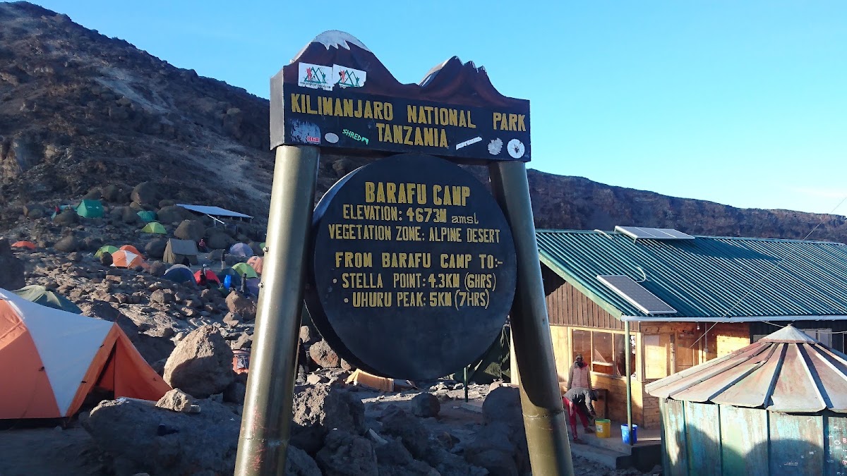 Ascension Machame J5 : vers Barafu, camp de base – Barafu Camp, parc national du Kilimandjaro (photo 1)