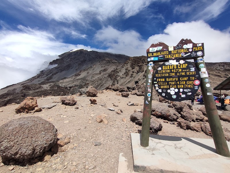 Ascension Machame J5 : vers Barafu, camp de base – Barafu Camp, parc national du Kilimandjaro (photo 2)