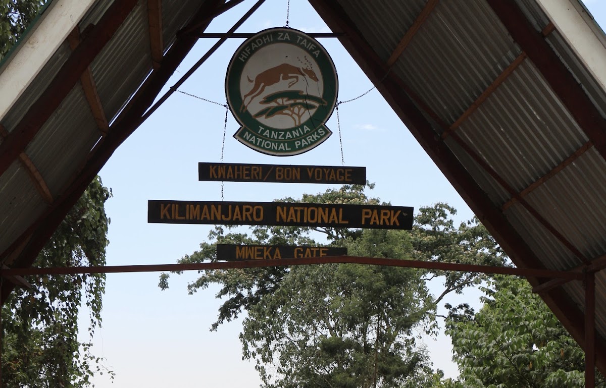Ascension Machame J7 : descente vers Mweka Gate – Mweka Gate, parc national du Kilimandjaro (photo 1)