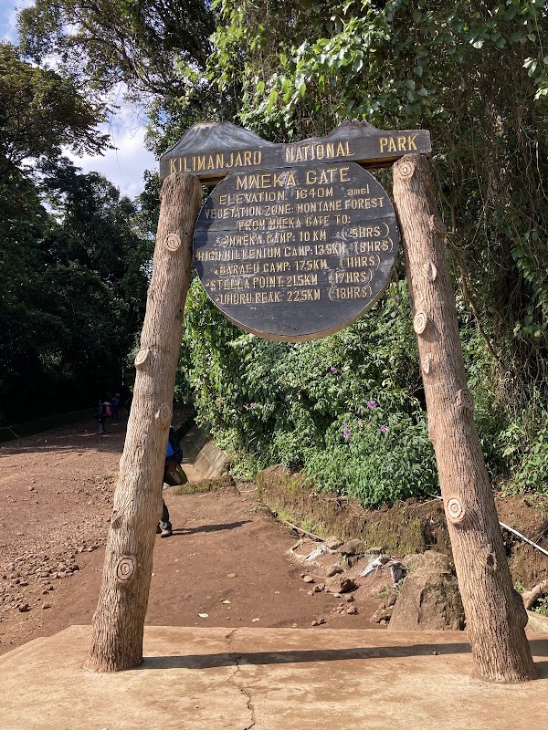 Ascension Machame J7 : descente vers Mweka Gate – Mweka Gate, parc national du Kilimandjaro (photo 2)