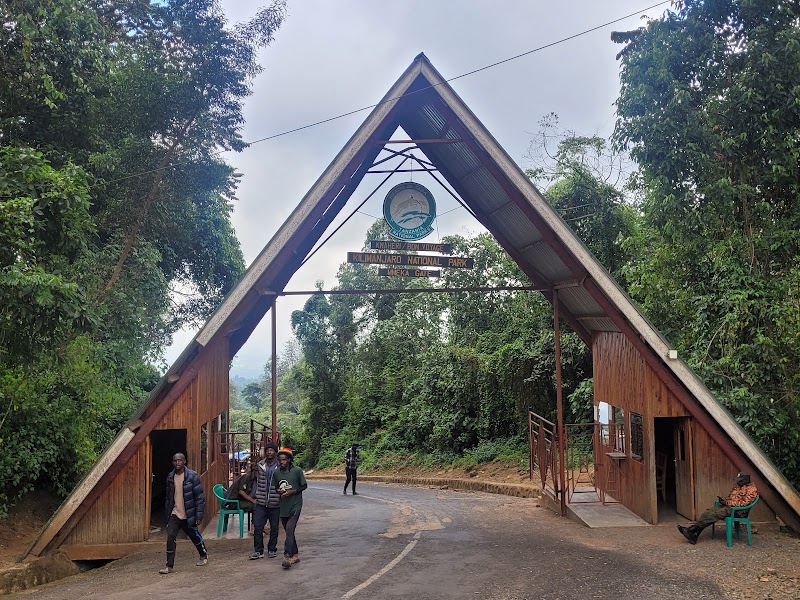 Ascension Machame J7 : descente vers Mweka Gate – Mweka Gate, parc national du Kilimandjaro (photo 3)