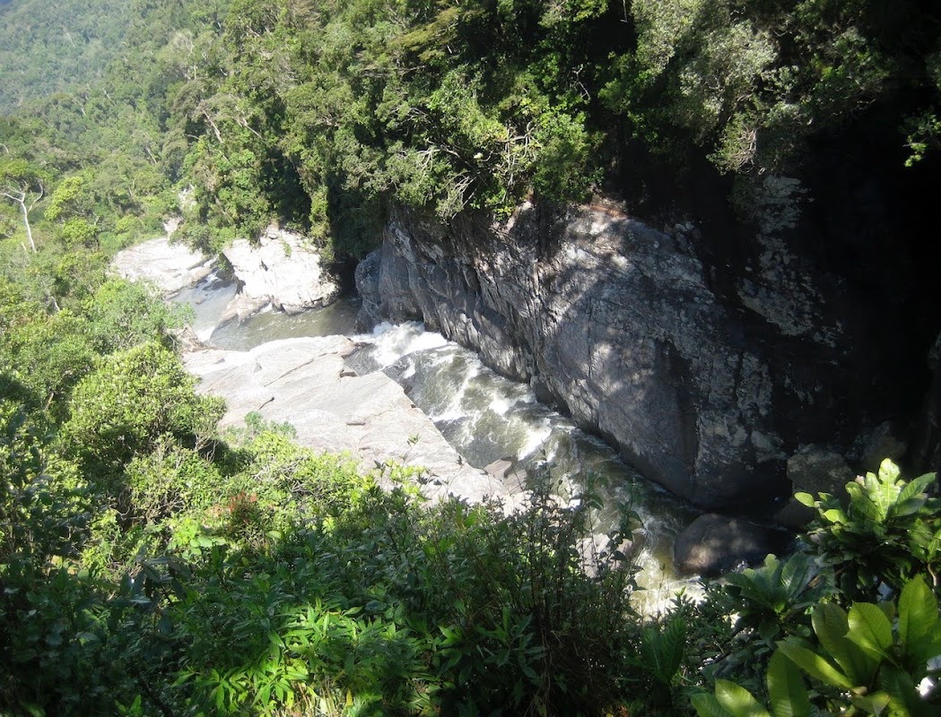 Balade nocturne route de Ranomafana (RN25) – Ranomafana 312, Madagascar (photo 1)