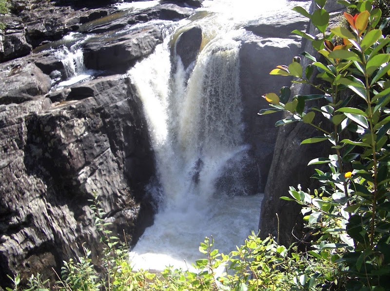 Balade nocturne route de Ranomafana (RN25) – Ranomafana 312, Madagascar (photo 2)