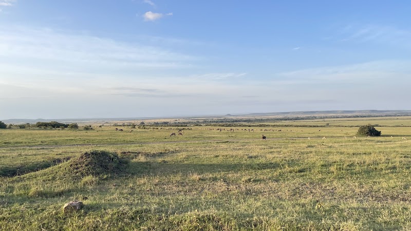 Basecamp Maasai Mara – Talek Gate, Masai Mara (photo 2)