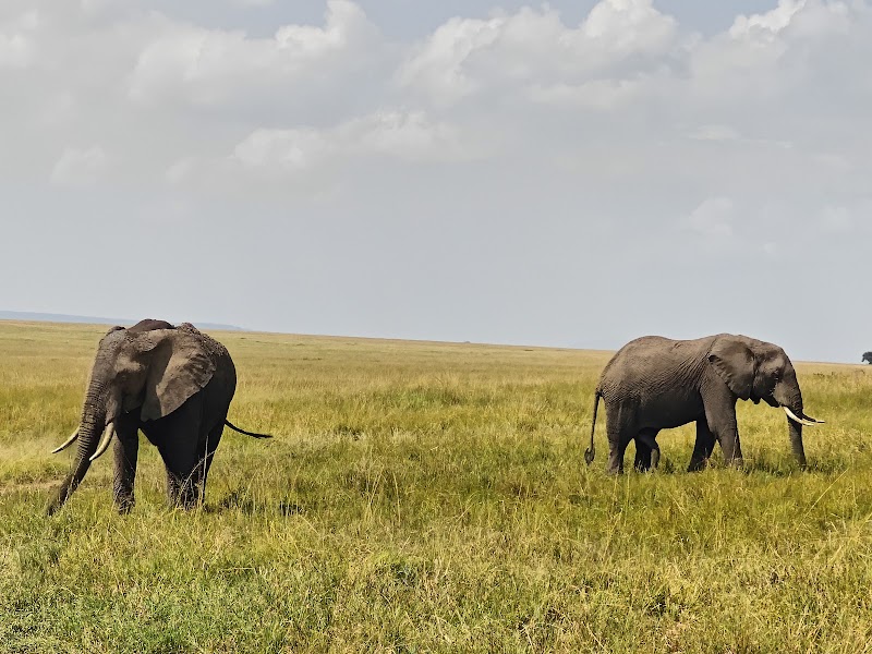 Basecamp Maasai Mara – Talek Gate, Masai Mara (photo 3)