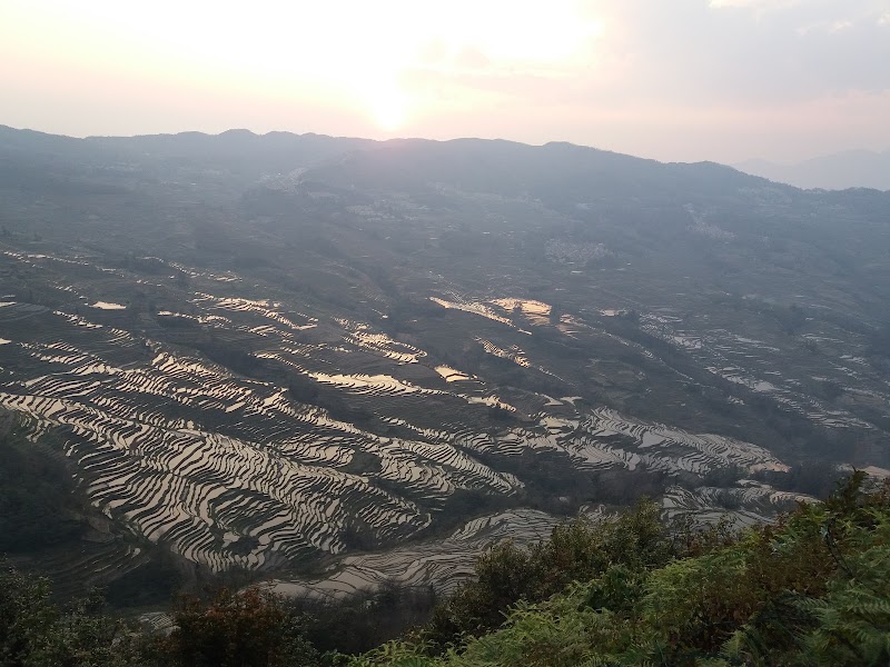 Belvédère de Bada, coucher de soleil – Belvédère de Bada, rizières de Yuanyang, Honghe, Yunnan, Chine (photo 2)