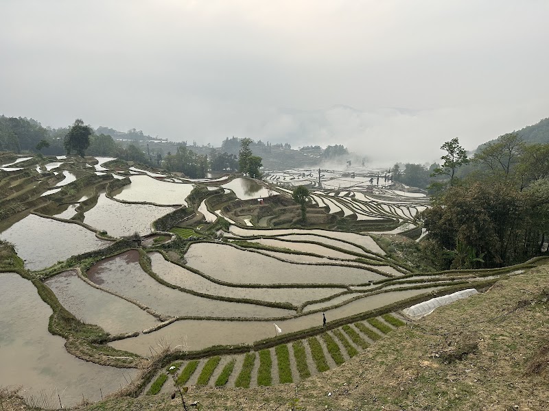 Belvédère de Bada, coucher de soleil – Belvédère de Bada, rizières de Yuanyang, Honghe, Yunnan, Chine (photo 3)