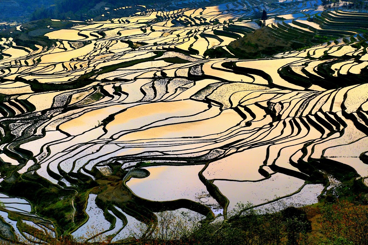 Belvédère de Duoyishu, lever de soleil – Belvédère de Duoyishu, rizières de Yuanyang, Honghe, Yunnan, Chine (photo 1)