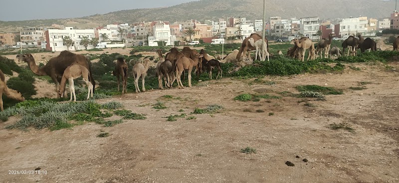 Camping Imsouane – Imsouane (La Baie), Maroc (photo 3)