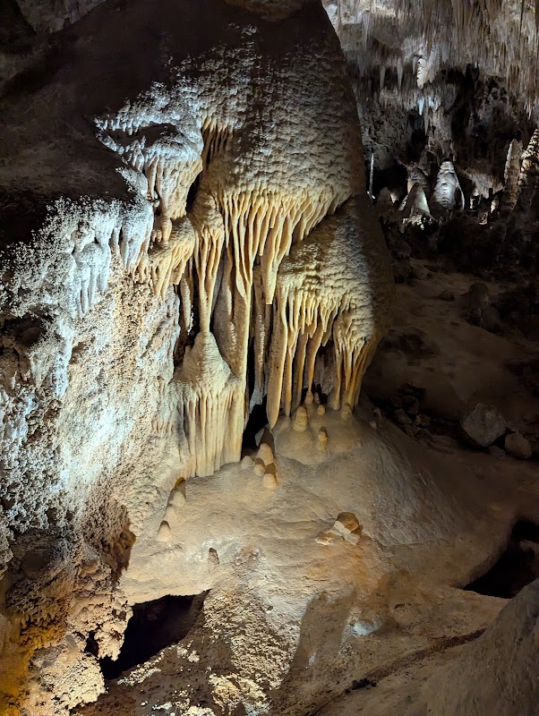 Carlsbad Caverns, la Big Room – 727 Carlsbad Caverns Hwy, Carlsbad, NM 88220, États-Unis (photo 3)