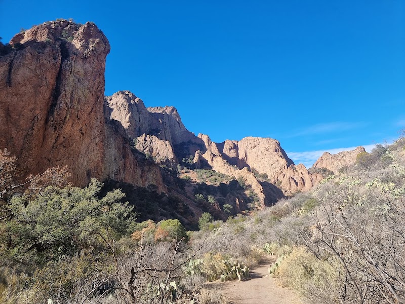 Chisos Mountains Lodge Restaurant – Big Bend National Park, TX 79834, États-Unis (photo 3)