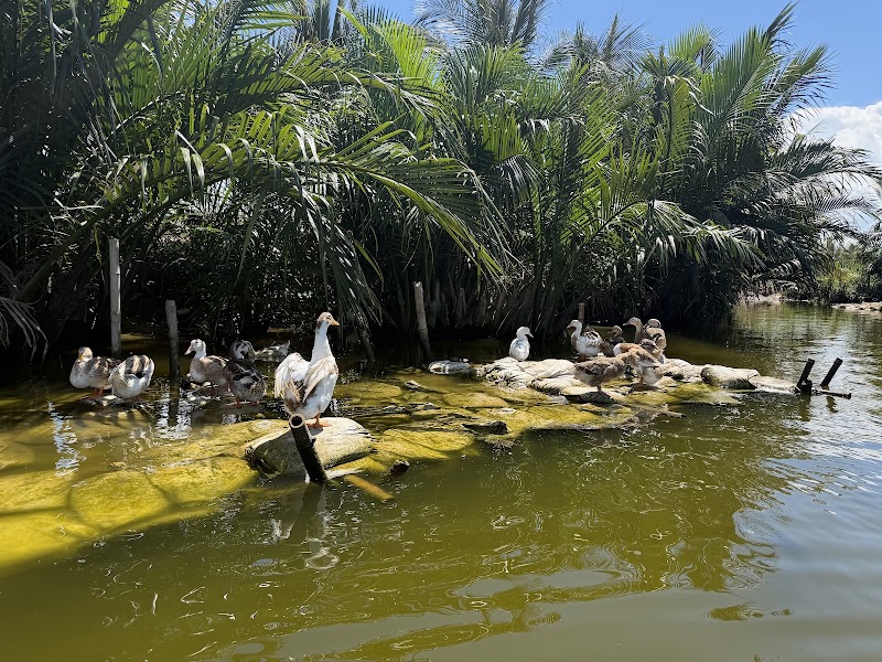 Coconut village – K171, 39 Cửa Đại, Hội An Đông, Đà Nẵng 513000, Vietnam (photo 3)