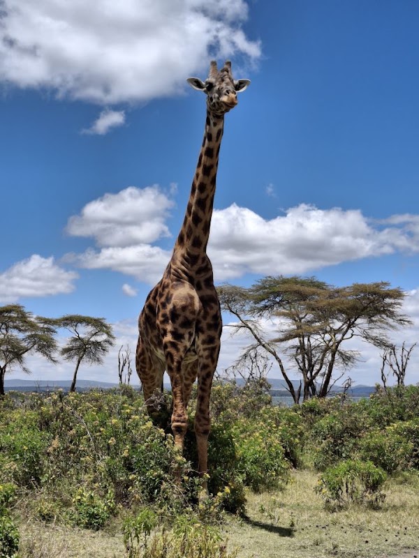 Crescent Island, safari à pied – Crescent Island, Naivasha (photo 1)