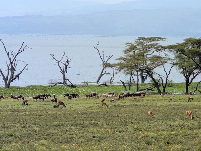 Crescent Island, safari à pied – Crescent Island, Naivasha (photo 3)