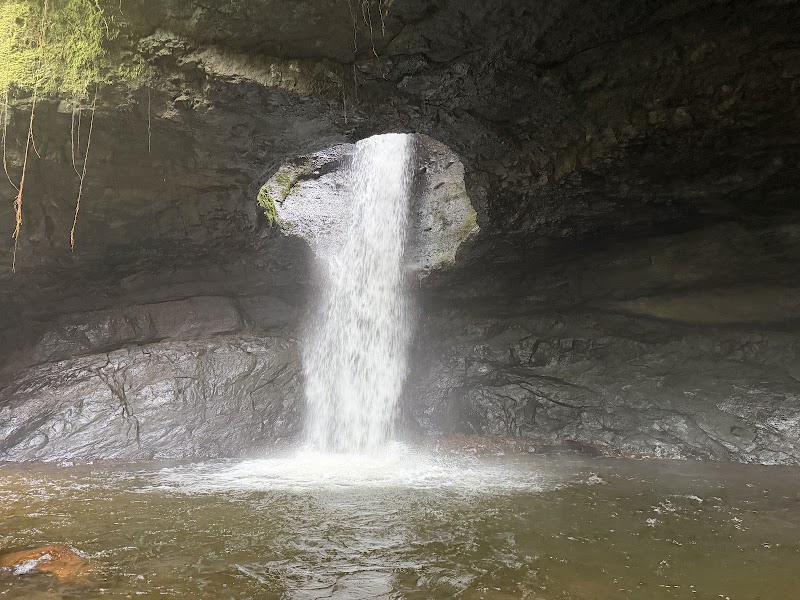 Cueva del Esplendor – Cueva del Esplendor, Jardín, Antioquia, Colombie (photo 2)