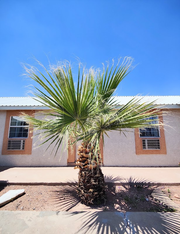 Desert Inn – 401 E Broadway St, Van Horn, TX 79855, États-Unis (photo 1)
