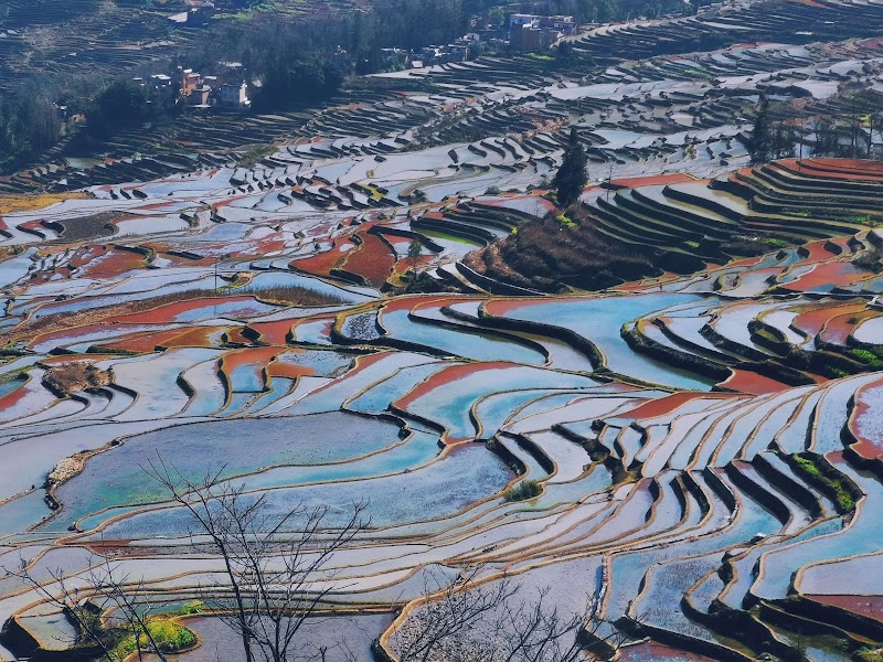 Duoyishu Cookshop – Duoyishu, Yuanyang, Honghe, Yunnan, Chine (photo 2)