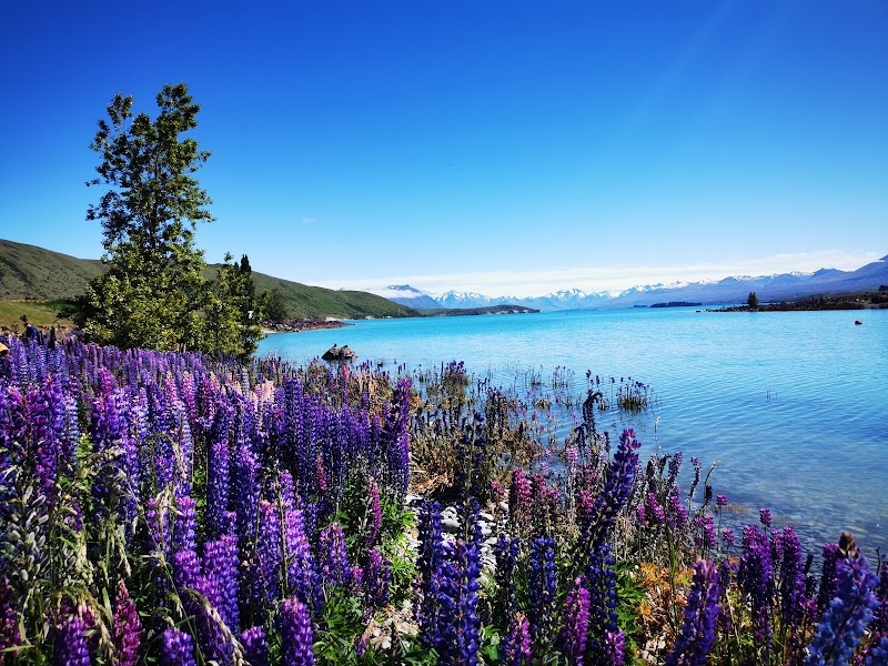 Église du Bon Pasteur – Pioneer Drive, Lake Tekapo 7999, Nouvelle-Zélande (photo 3)
