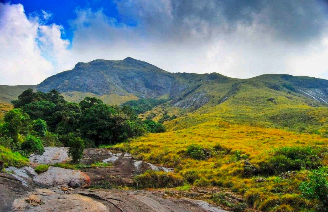Eravikulam National Park – Kannan Devan Hills, Kerala 685612, India (photo 1)
