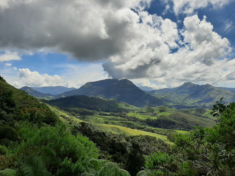 Eravikulam National Park – Kannan Devan Hills, Kerala 685612, India (photo 2)