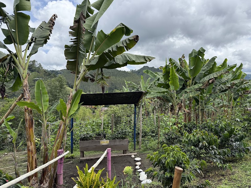 Finca La Abundancia (tour café) – Vereda Palestina, Salento, Quindío, Colombie (photo 3)