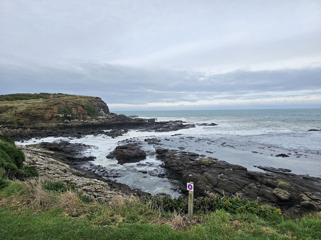 Forêt pétrifiée de Curio Bay – 25 Mair Road, Curio Bay 9884, Nouvelle-Zélande (photo 1)