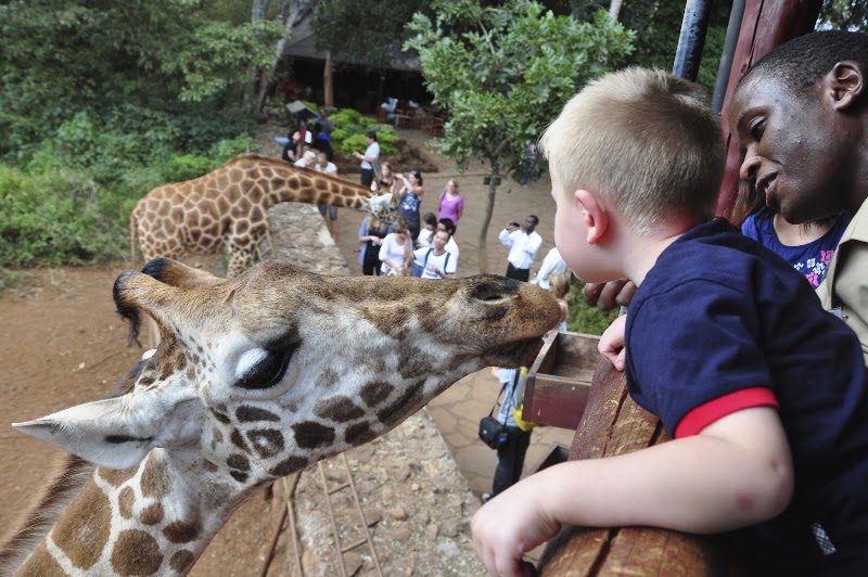 Giraffe Centre – Duma Rd, Nairobi (photo 2)