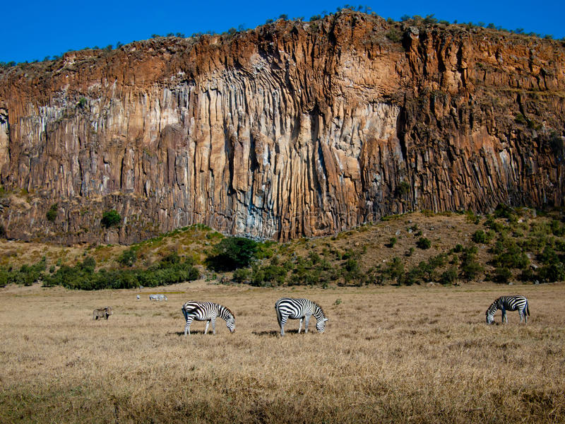 Hell's Gate à vélo et gorge d'Ol Njorowa – Hells Gate National Park (photo 2)