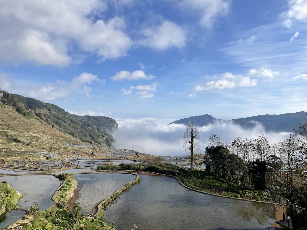 Jacky's Guest House – Jacky's Guest House, Duoyishu, Yuanyang, Yunnan, Chine (photo 1)