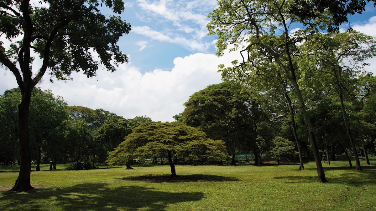 Jardín Botánico de Medellín – Cra. 52 #73-298, Medellín, Colombie (photo 1)
