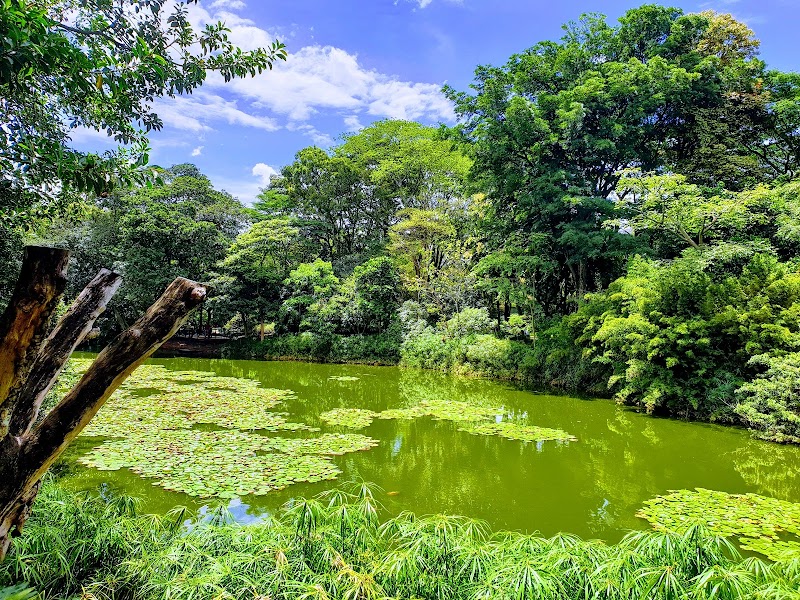 Jardín Botánico de Medellín – Cra. 52 #73-298, Medellín, Colombie (photo 3)