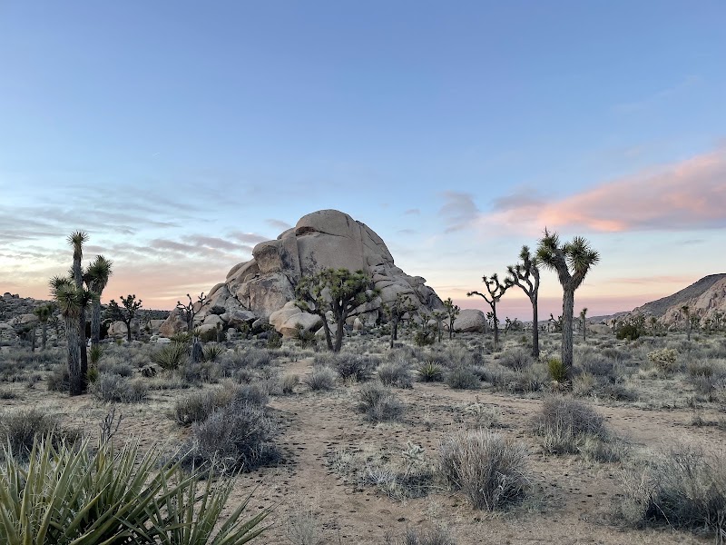 Joshua Tree National Park – Joshua Tree National Park, California, USA (photo 2)