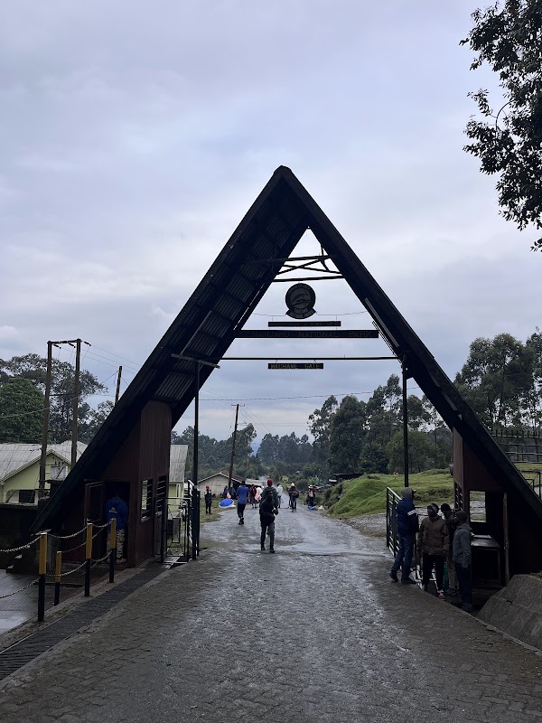 Kilimandjaro J1 : Machame Gate vers Machame Camp – Machame Gate, Parc national du Kilimandjaro (photo 2)